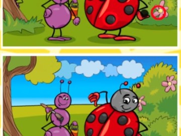 Insects Photo Differences