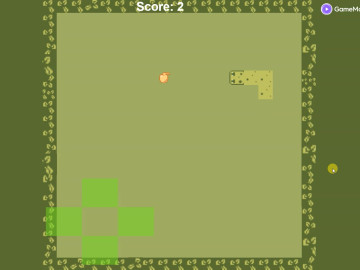The snake Game